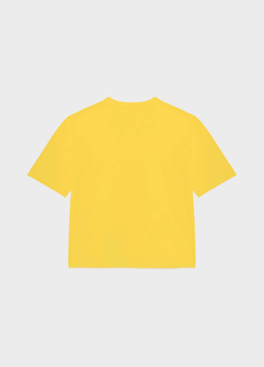 LES COPAINST-shirt logata in puro cotone Presa