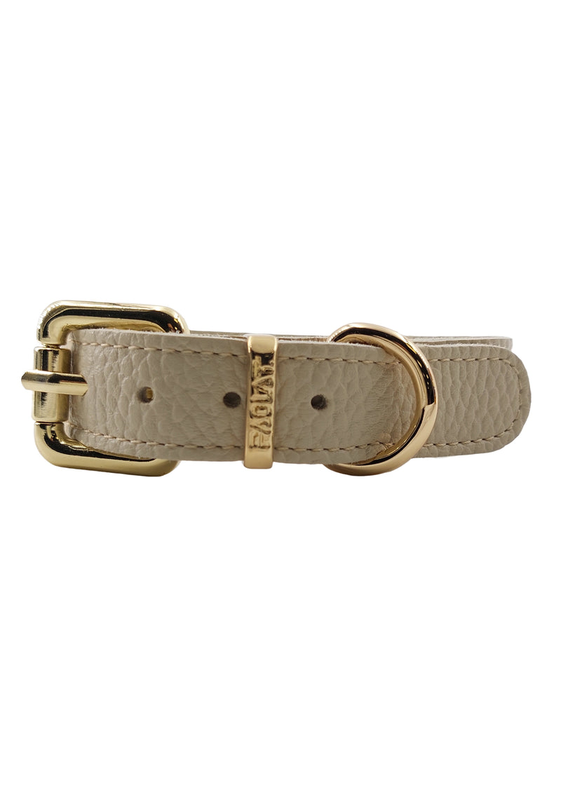 Paola T. Collare basic In Linea