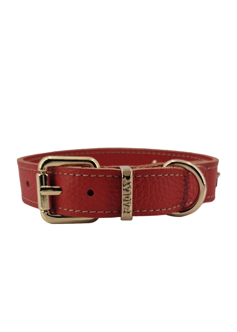 Paola T. Collare stella Promozione Limitata