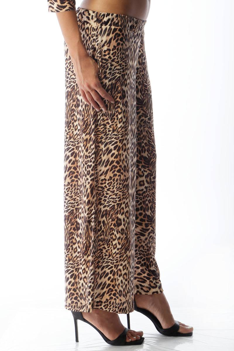 Paola T. Pantalone cropped Nuovo