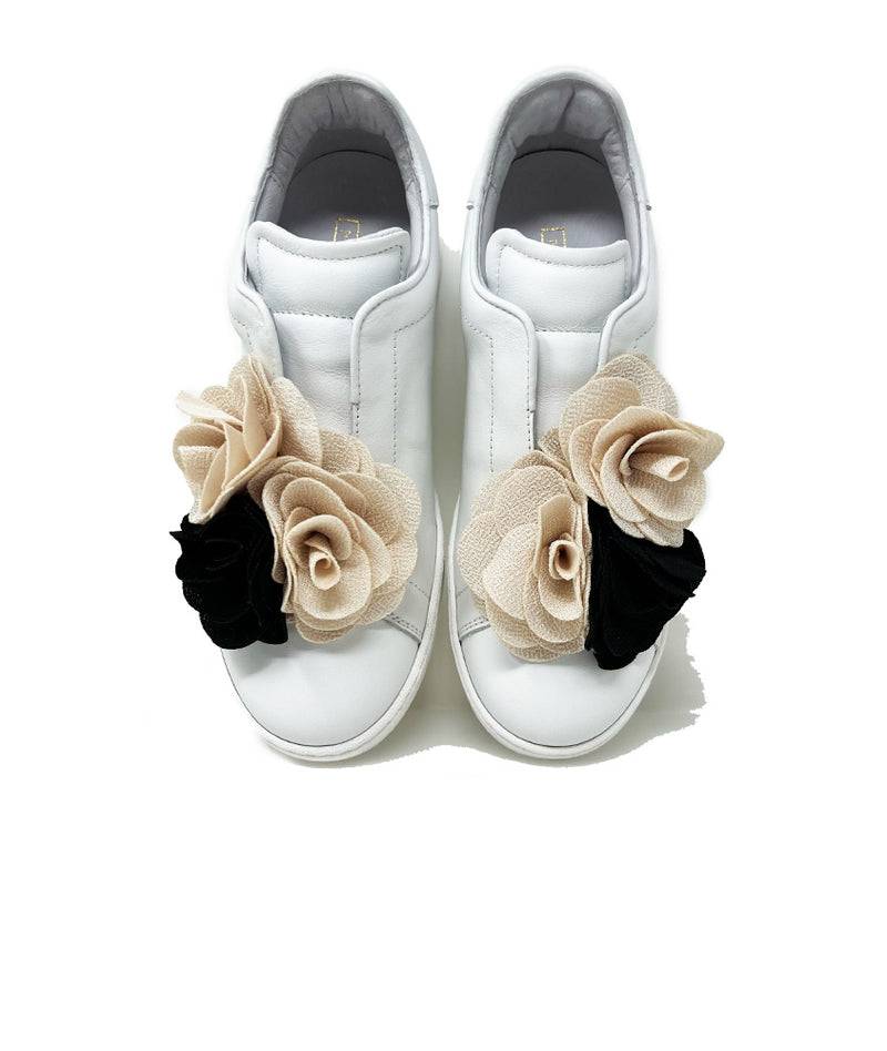 Pokemaoke Peonia Camelie lo Promozione