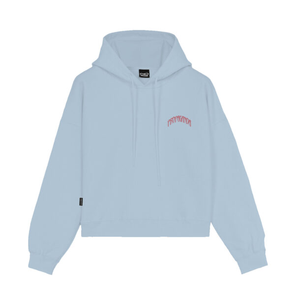 Propaganda Triangle Bengala Hoodie Crop Top – Sky Presa
