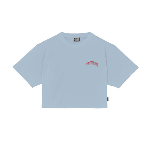 Propaganda Triangle Bengala Crop Top Tee – Sky Online