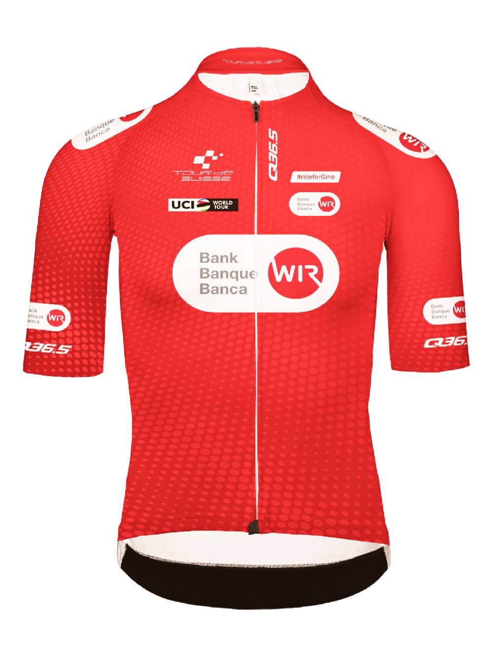 Q36.5 Gregarius Pro Tour De Suisse CLIMBER Maglia