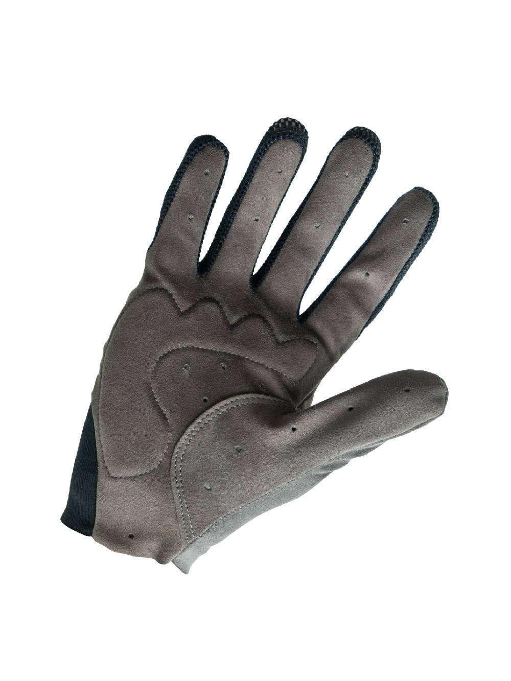 Q36.5 Adventure Guanti Lunghi Grigio Vendita Economica