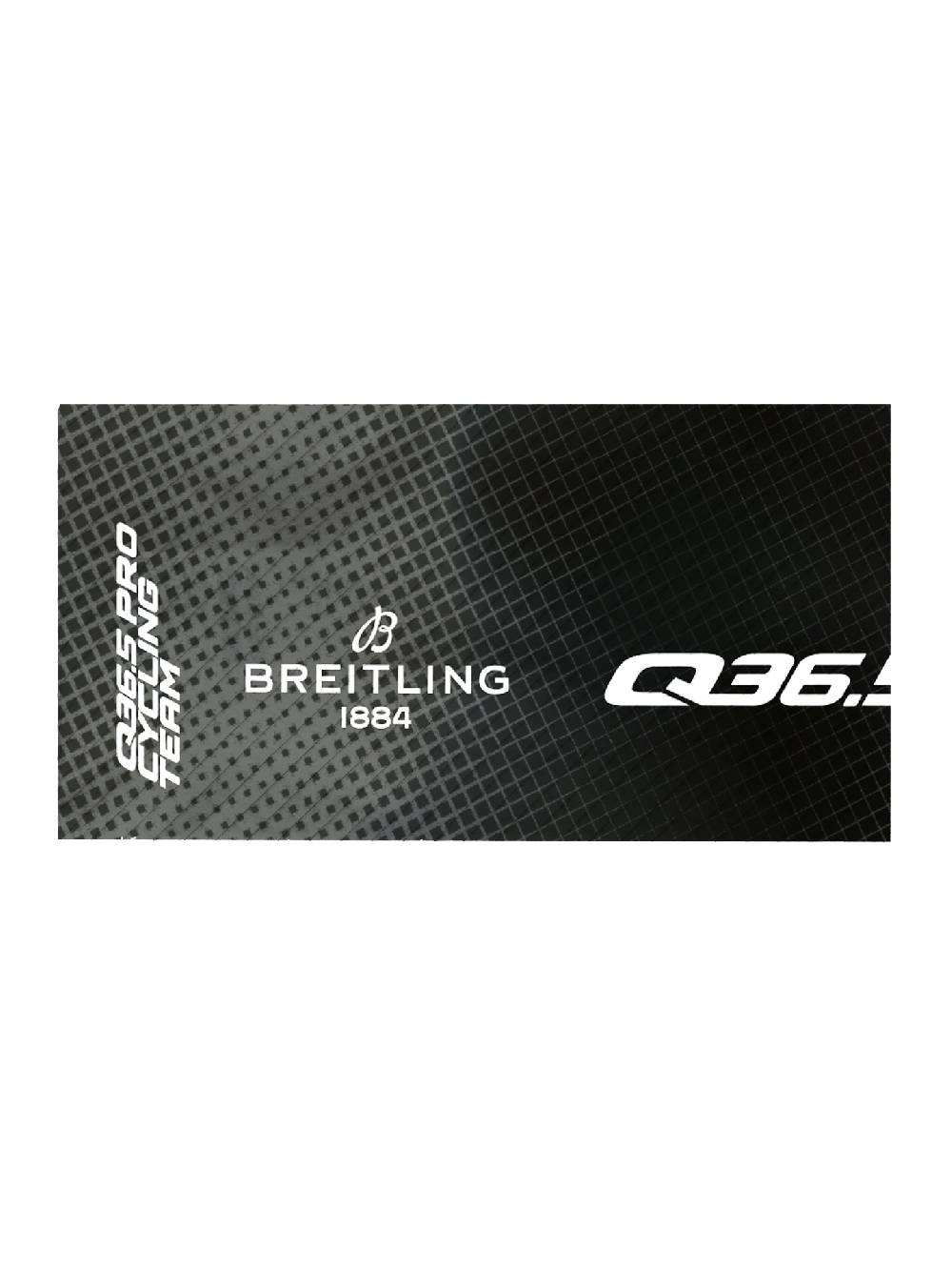Q36.5 Q36.5 Pro Cycling Team Fascia