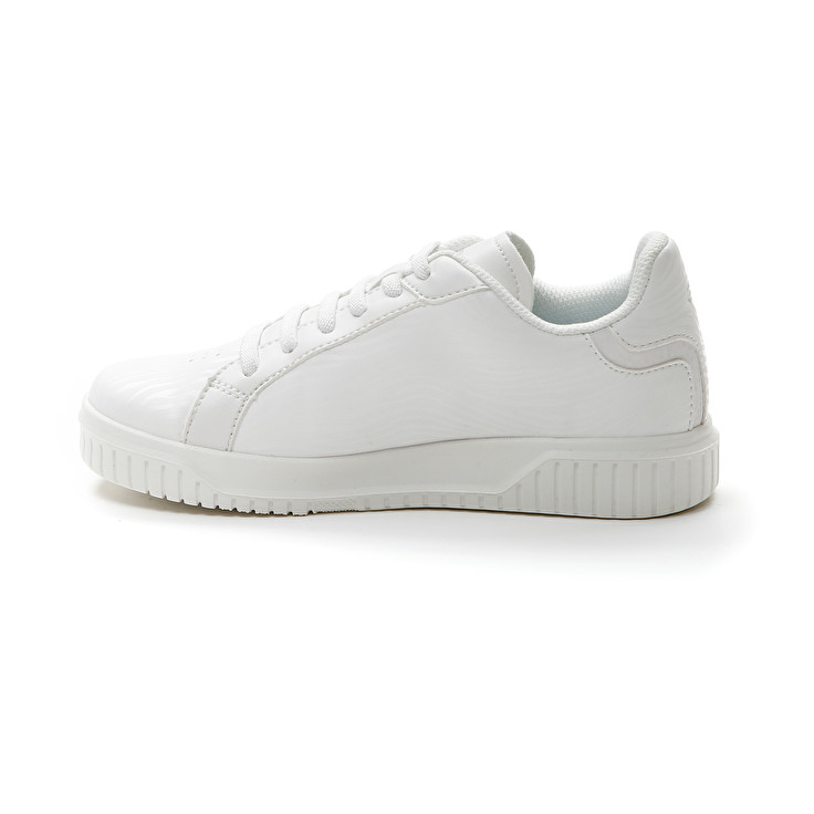 Lotto VENUS AMF II ZEBRA JR Outlet