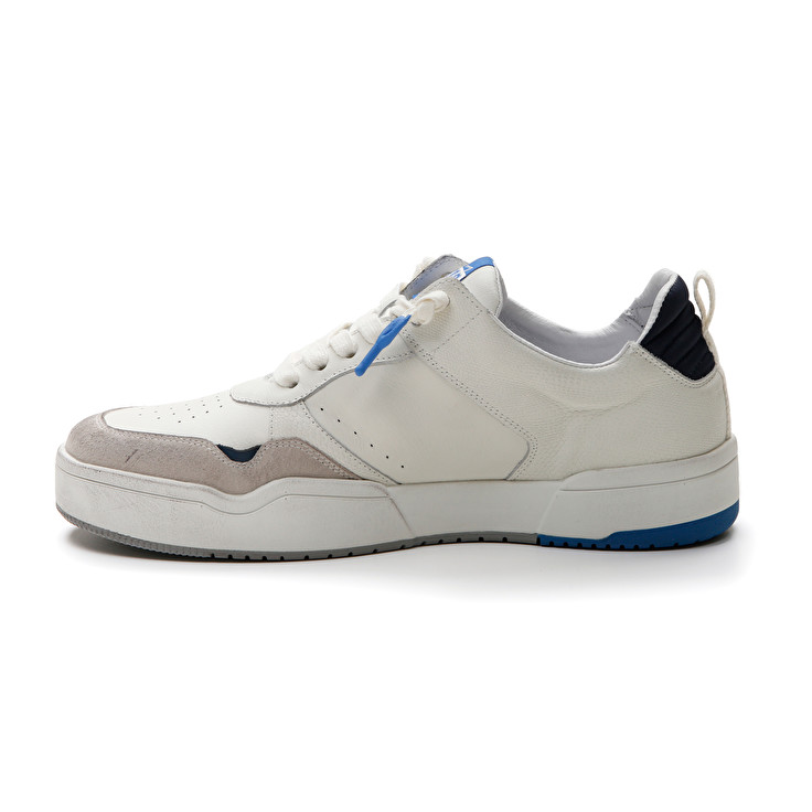 Lotto HOOP STARS RUB Presa