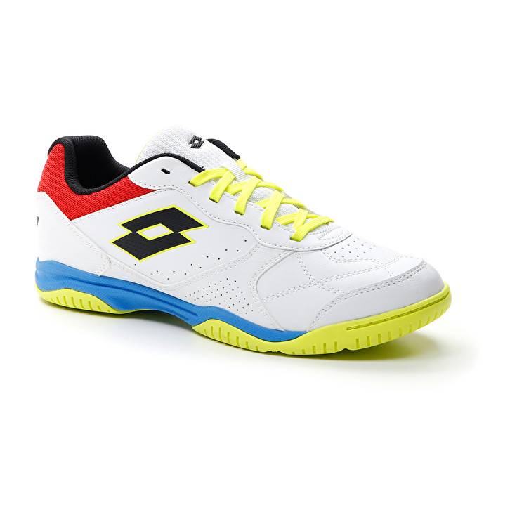 Lotto TACTO 300 VII ID Prezzo Ridotto