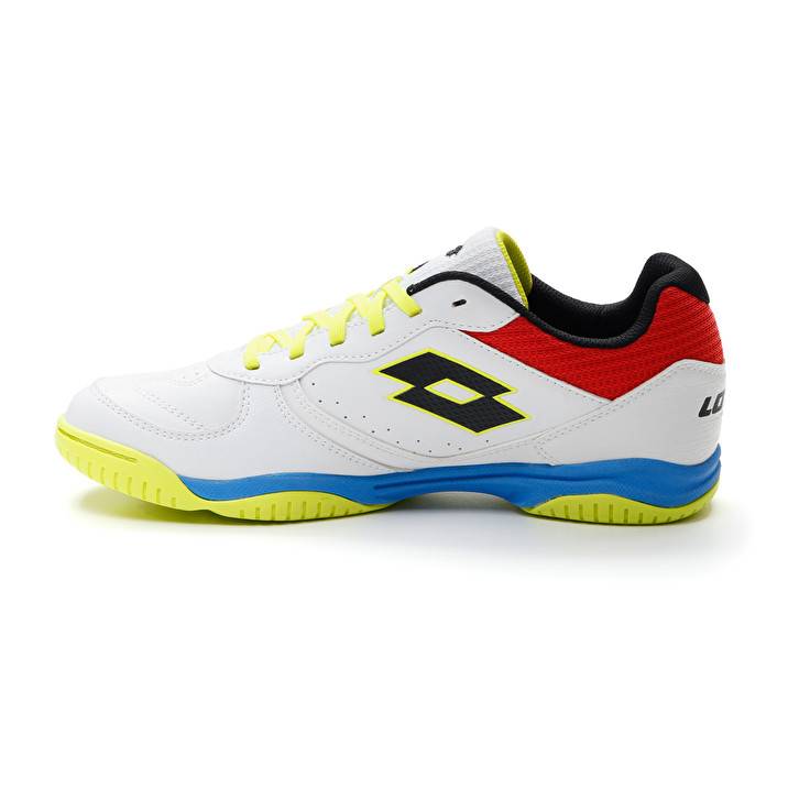 Lotto TACTO 300 VII ID Prezzo Ridotto
