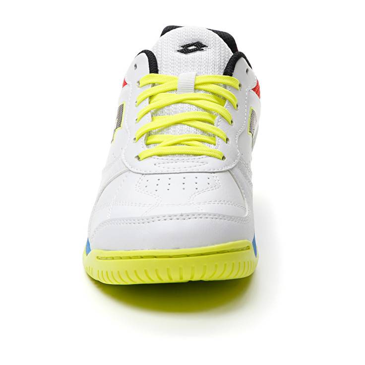 Lotto TACTO 300 VII ID Prezzo Ridotto