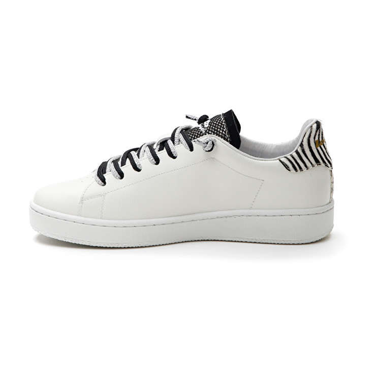 Lotto AUTOGRAPH ZEBRA W 2025