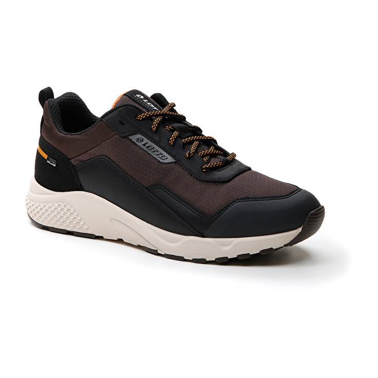 Lotto ULTRA AMF II HD Saldi