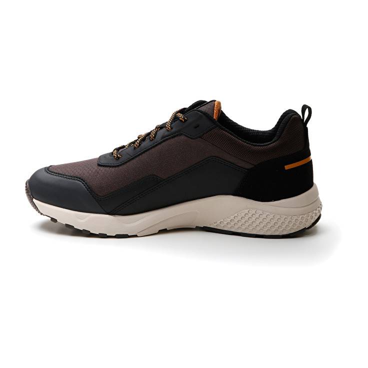 Lotto ULTRA AMF II HD Saldi