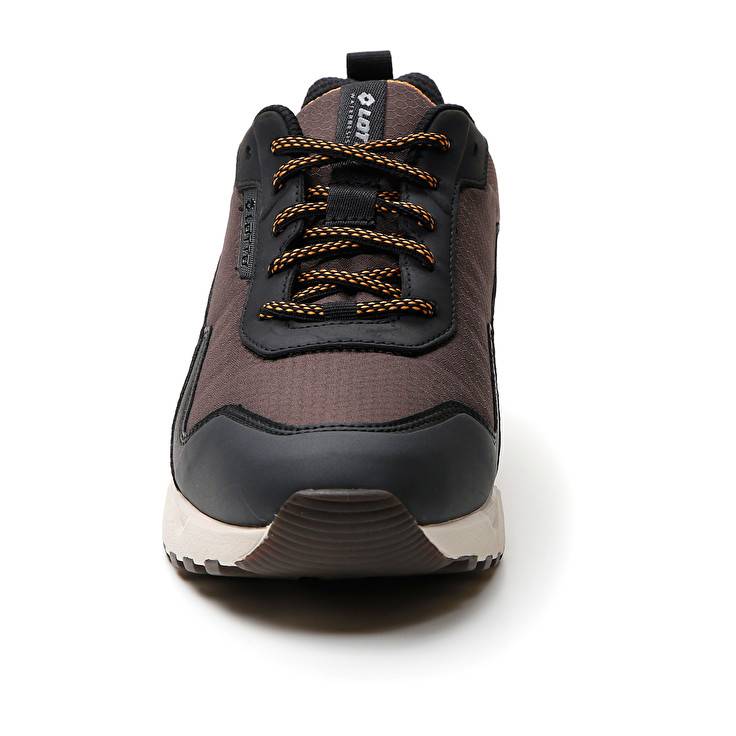 Lotto ULTRA AMF II HD Saldi