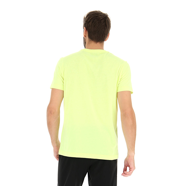 Lotto MSC TEE II Offerta